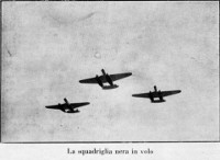 The black squadron in flight